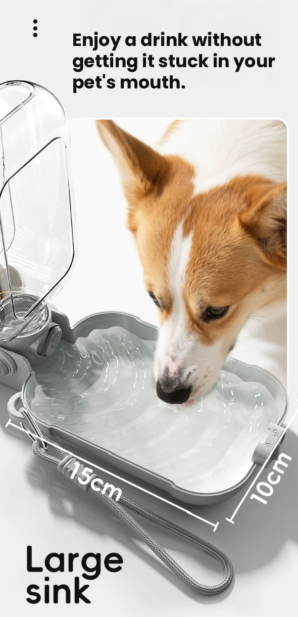 POPOCOLA 2-in-1 Portable Dog Water Bottle for Outdoor Travel