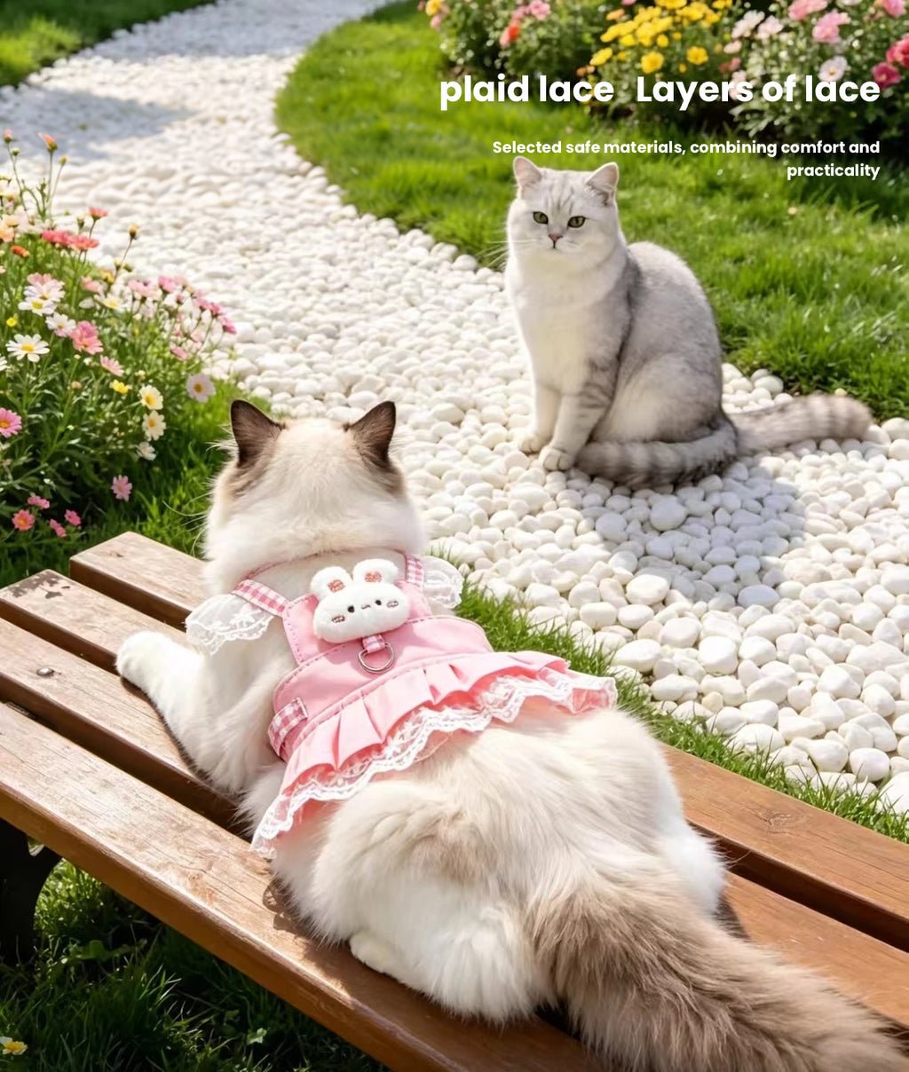 Cat Harness with Leash, Soft Vest for Outdoor Walking