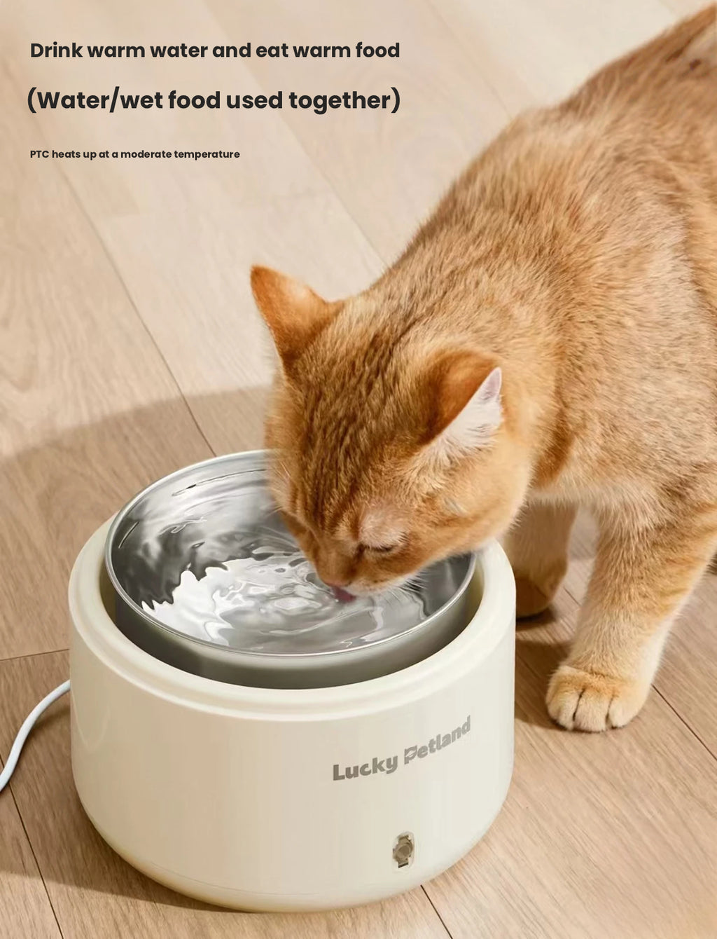 LuckyPetland Heated Pet Water Bowl, Temperature Control for Cats & Dogs
