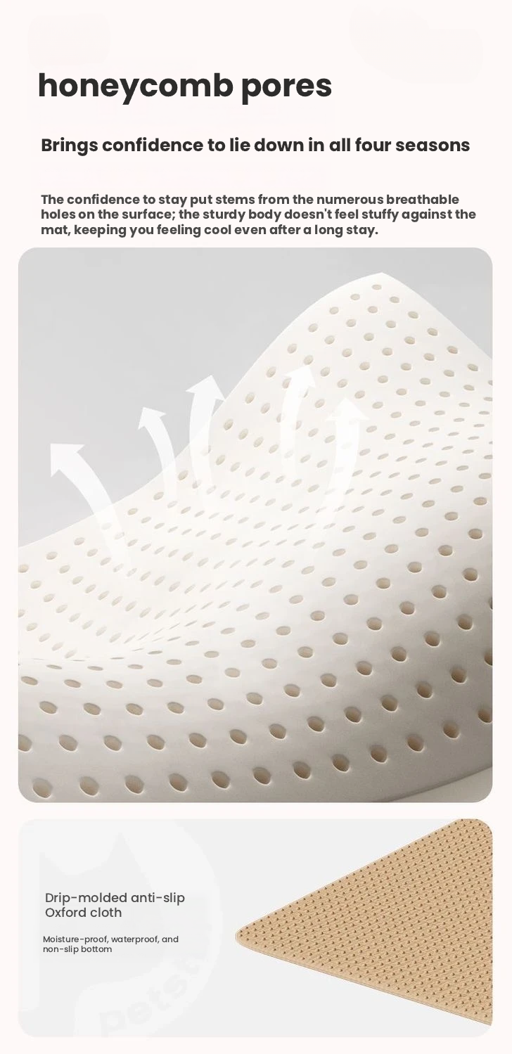 Petstar Washable Pillow Pet Bed – All-Season Sleeping Mat