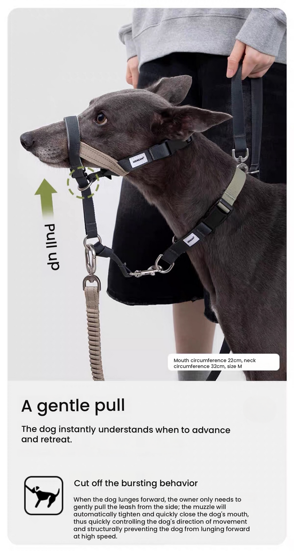 HiDREAM Head Halter – Anti-Pull Training Aid
