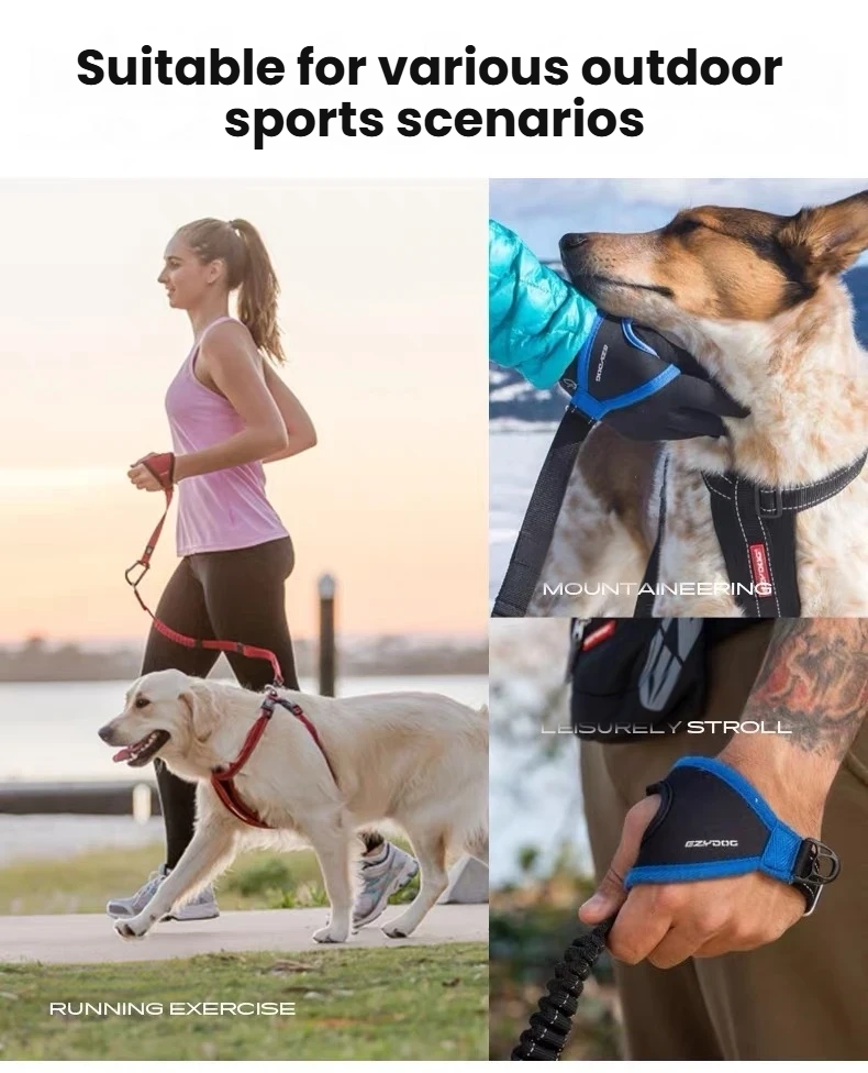 EzyDog Handy Leash