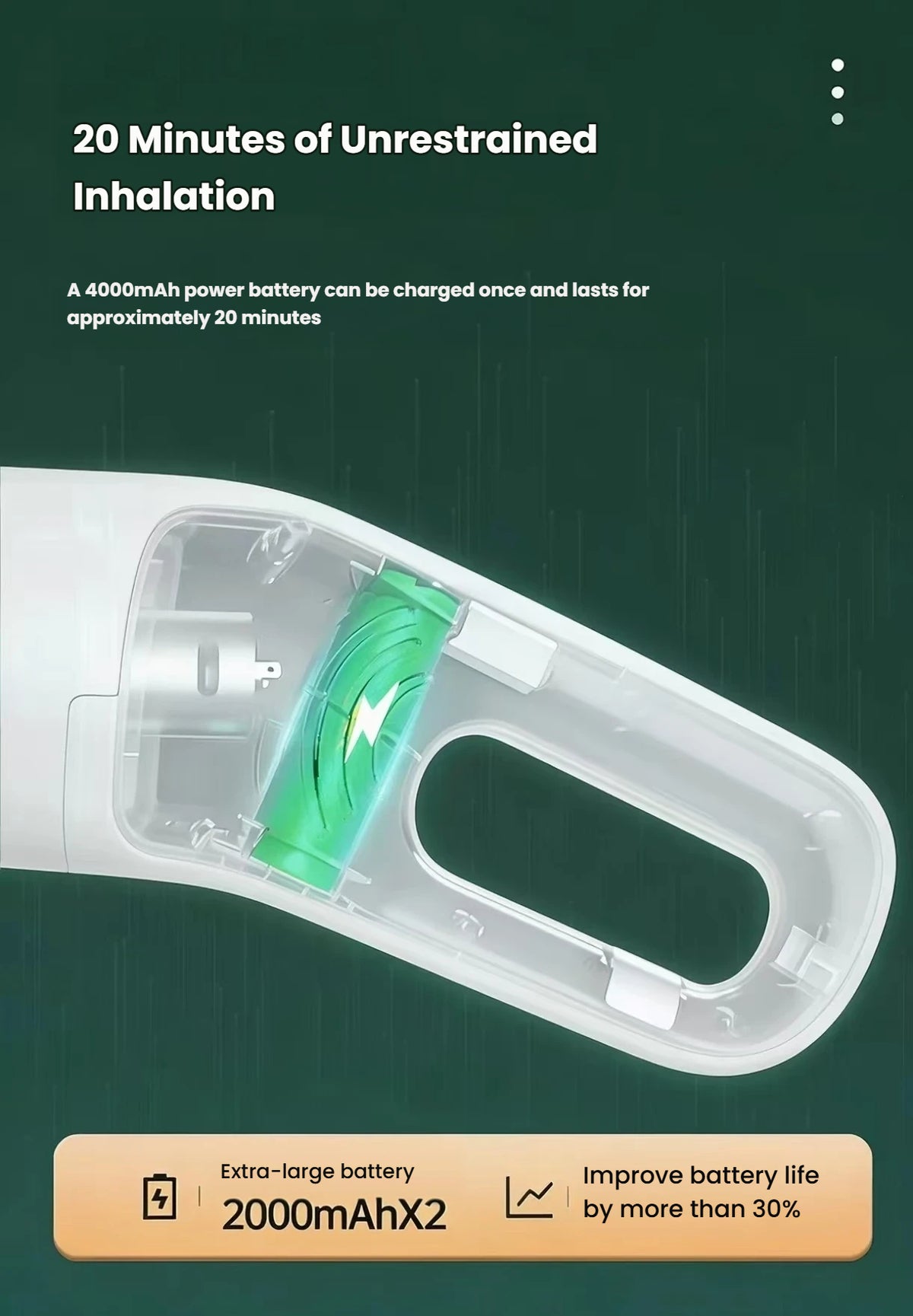 Pet Hair Vacuum: Electric Cat Hair Remover for Beds & Carpets