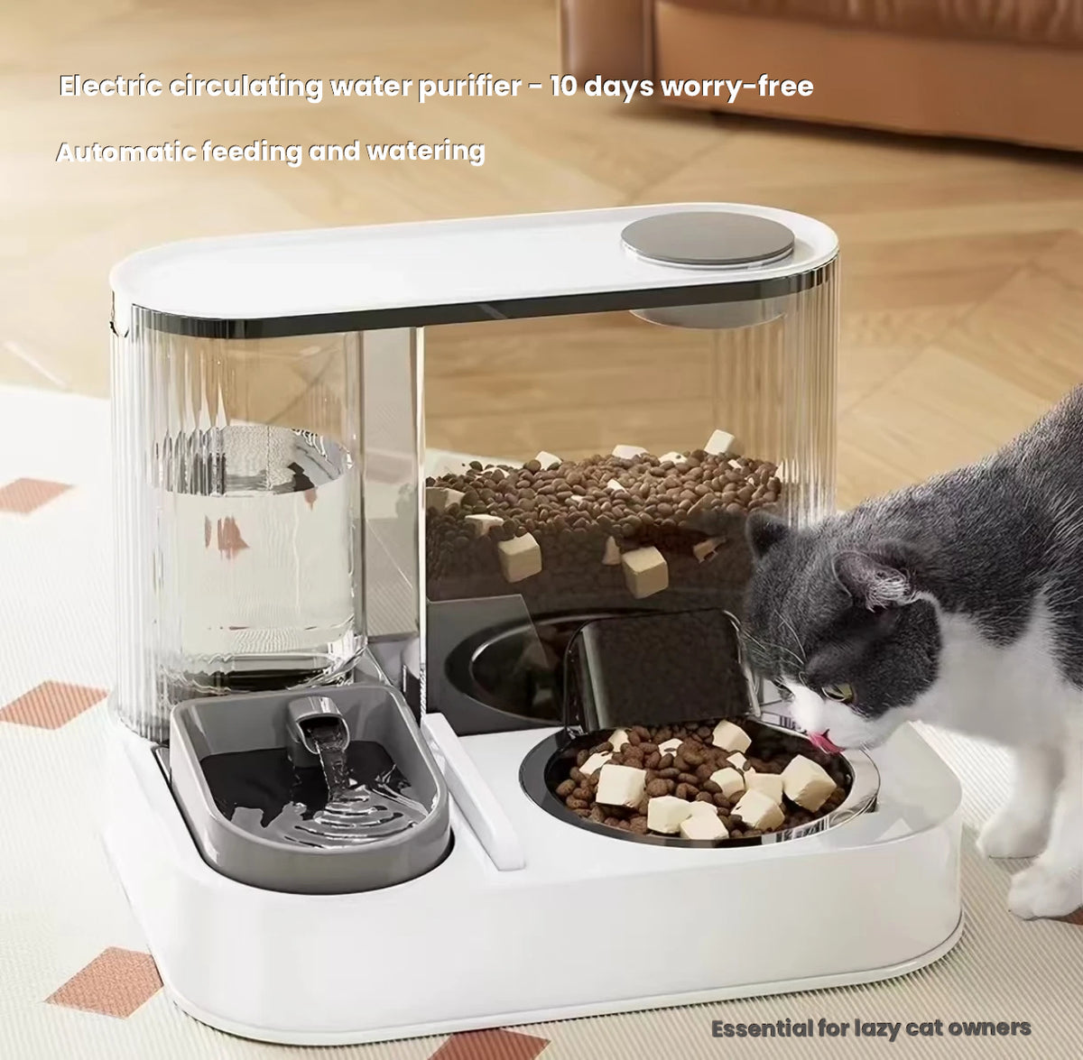Automatic Pet Feeder & Water Fountain: Large-Capacity Cat & Dog Dispenser
