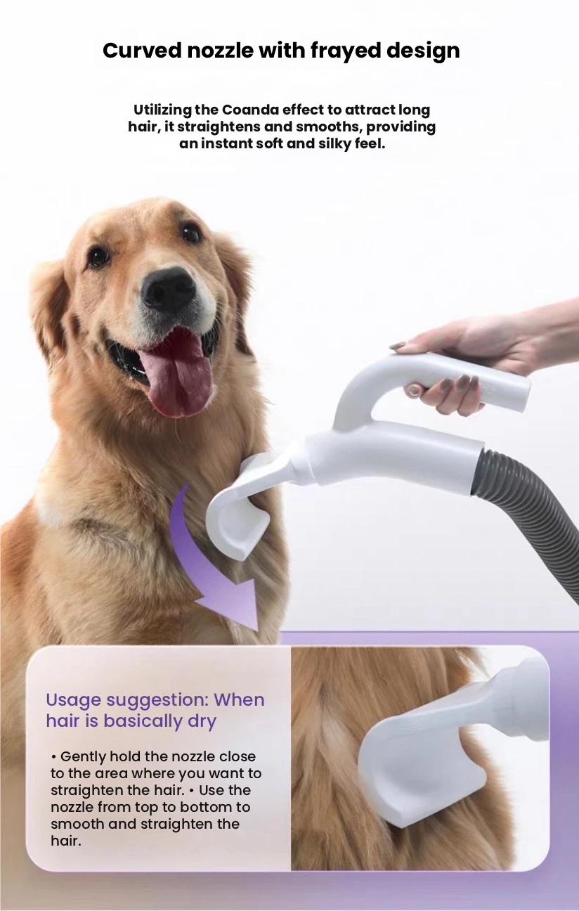 Redminut High-Power Pet Grooming Dryer for Dogs