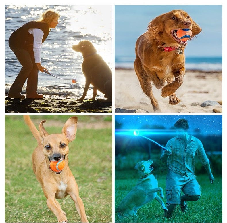 Collage of dogs and people playing fetch with Chuckit balls and launchers