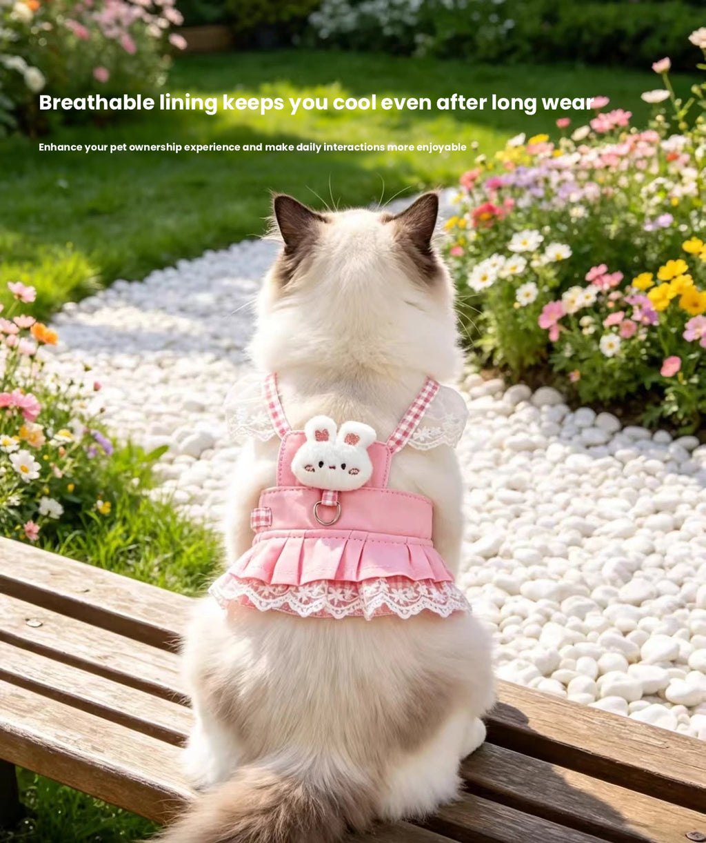 Cat Harness with Leash, Soft Vest for Outdoor Walking