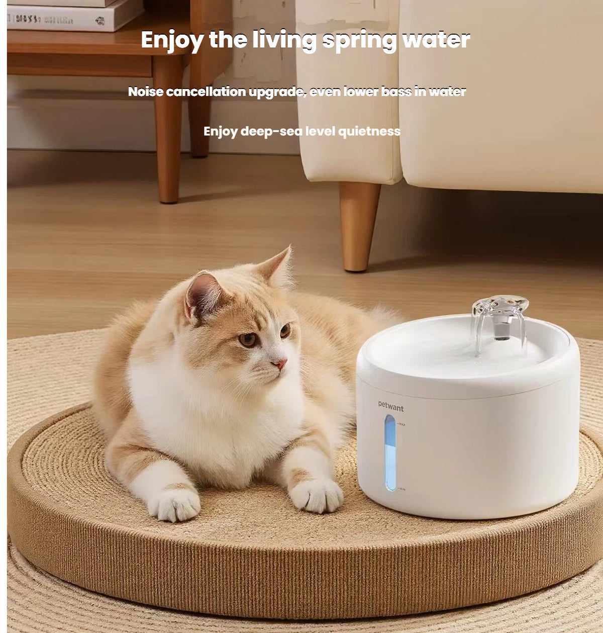 Petwant Automatic Cat Water Fountain, Flowing Water for Cats & Dogs