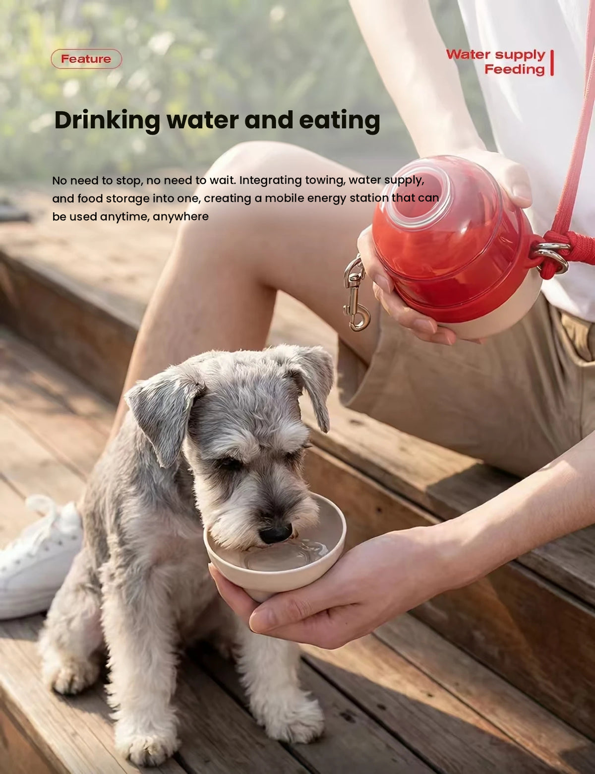 Dog drinking from the Petstar folding travel bowl