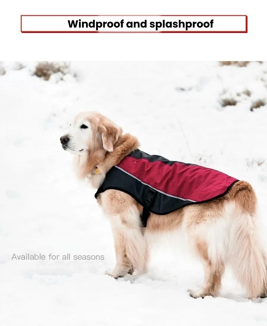 EzyDog Element Dog Jacket - Rain & Cold Weather Dog Coat
