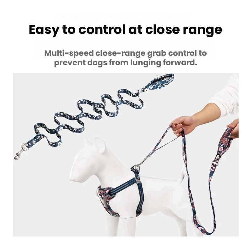 Truelove Floral Multi Handle Dog Leash