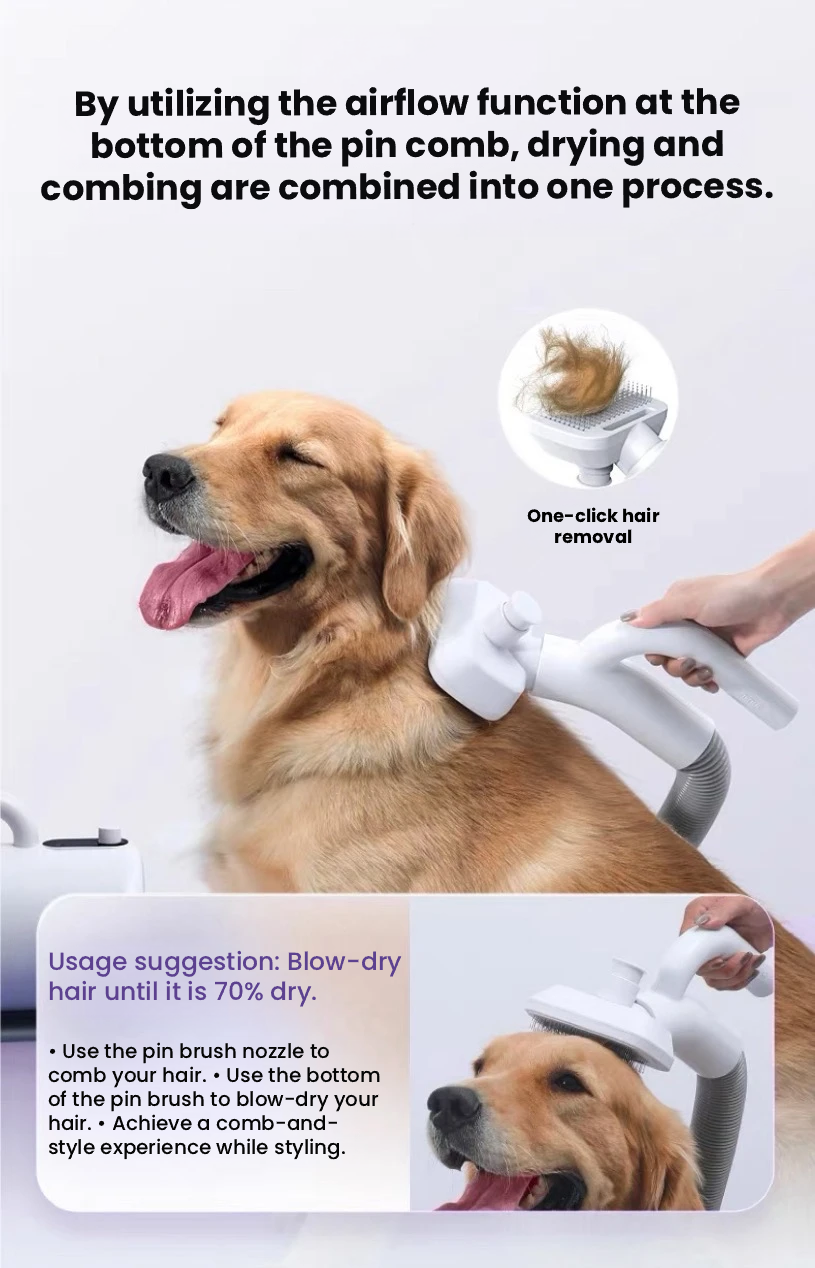Redminut High-Power Pet Grooming Dryer for Dogs