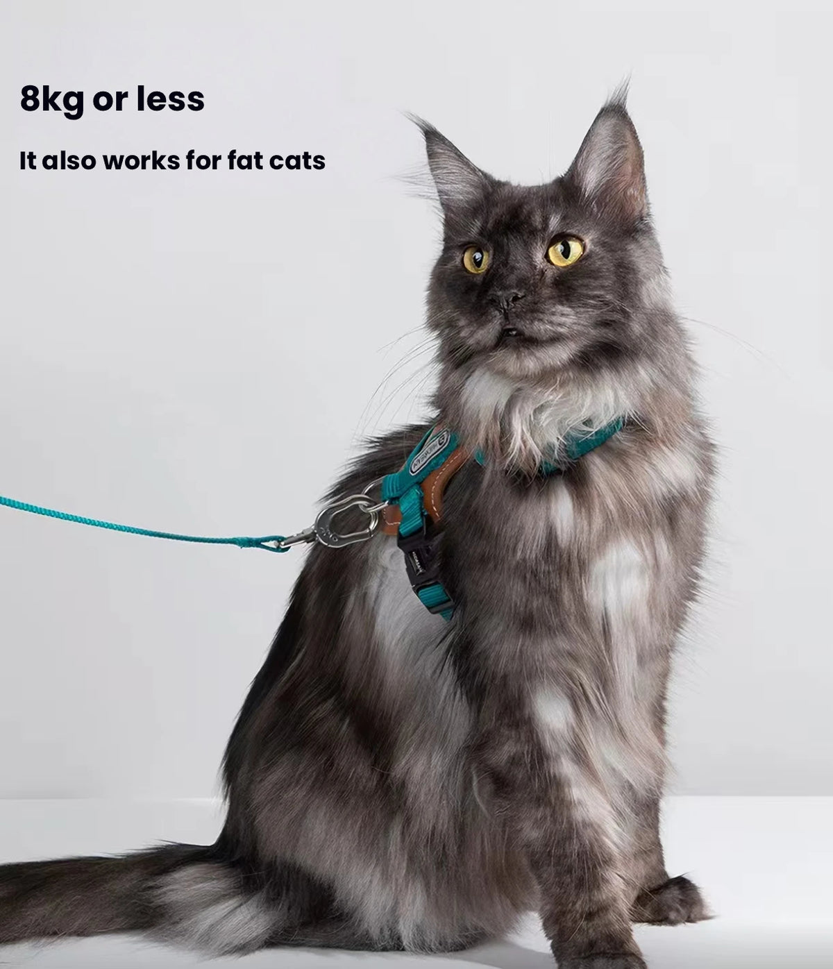 HiDREAM Leather Cat Harness and Leash Set - Adjustable Escape-Proof H-Style Vest