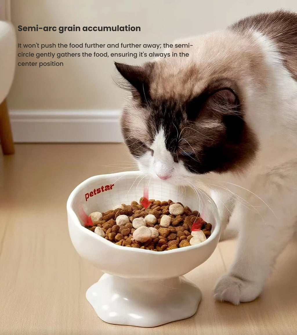 Petstar Elevated Ceramic Cat & Dog Bowl, Non-Slip Design