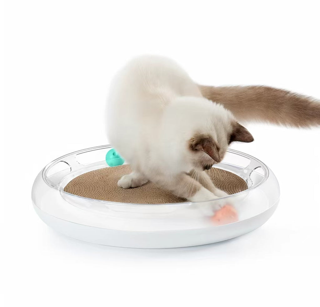 PETKIT 장난감 중앙 골판지 패드를 긁는 고양이