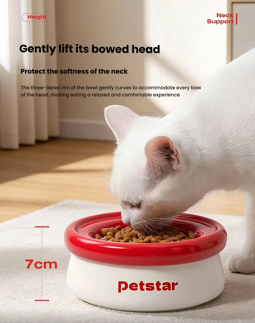 Petstar Ceramic Elevated Cat & Dog Bowls, 3-in-1 Feeding Set