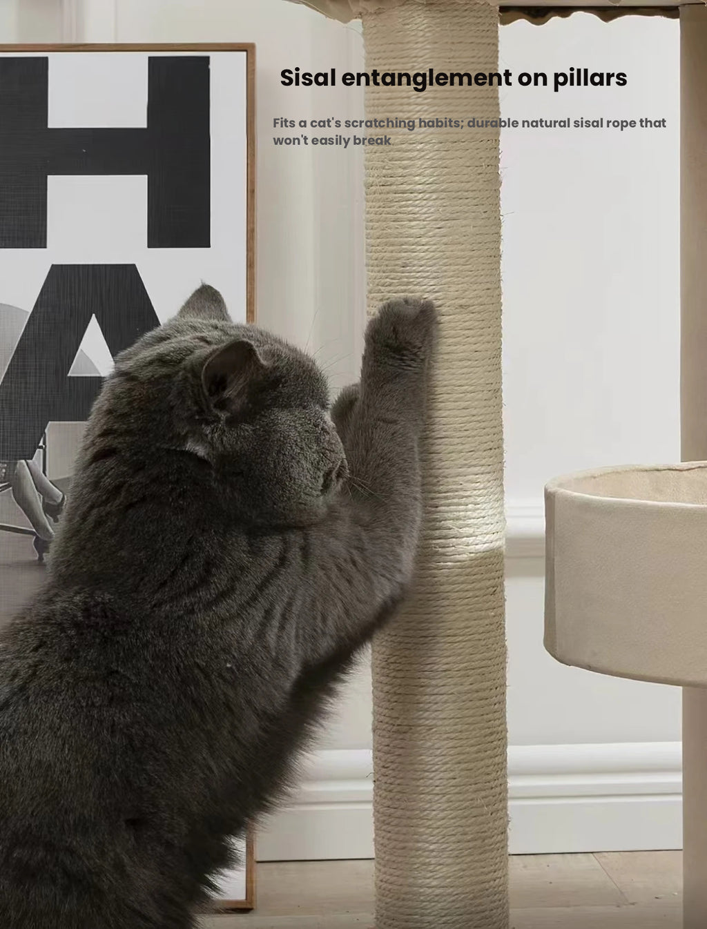 Large Cat Tree with Bed: Sisal Scratching Post for Big Cats
