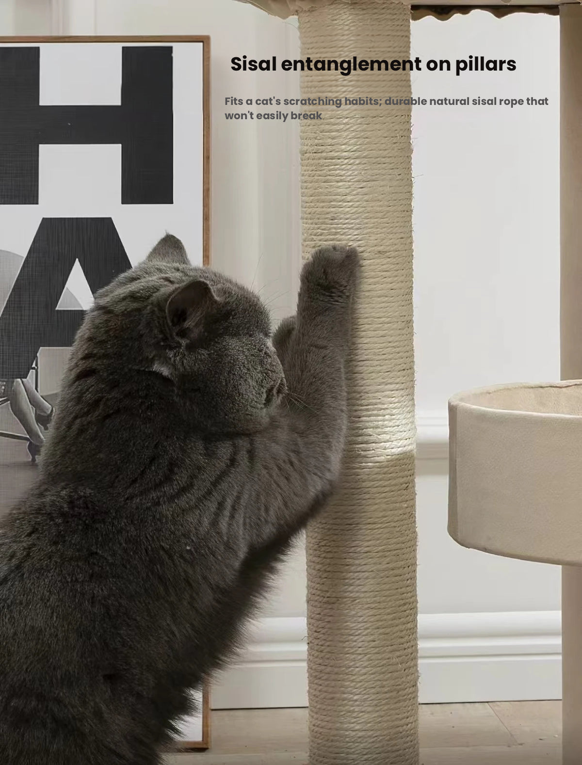 Large Cat Tree with Bed: Sisal Scratching Post for Big Cats