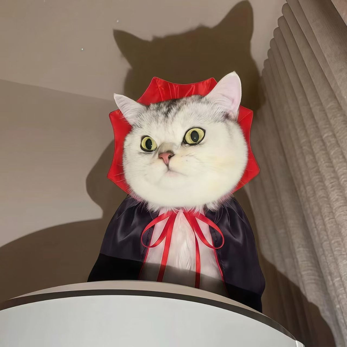 Halloween Vampire Cape Costume for Cats & Small Dogs