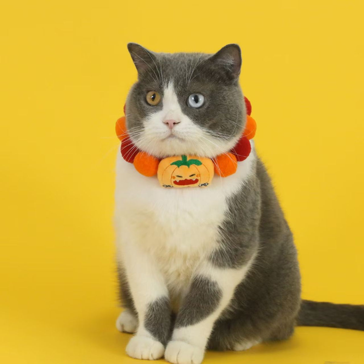 Halloween Pet Collar, Pumpkin Ghost Costume for Cats & Dogs