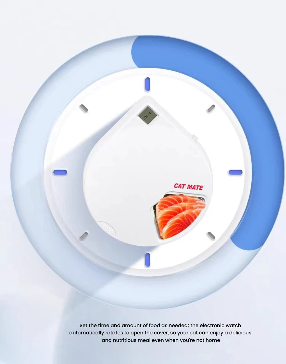 Top view of the CatMate five-meal feeder timer dial