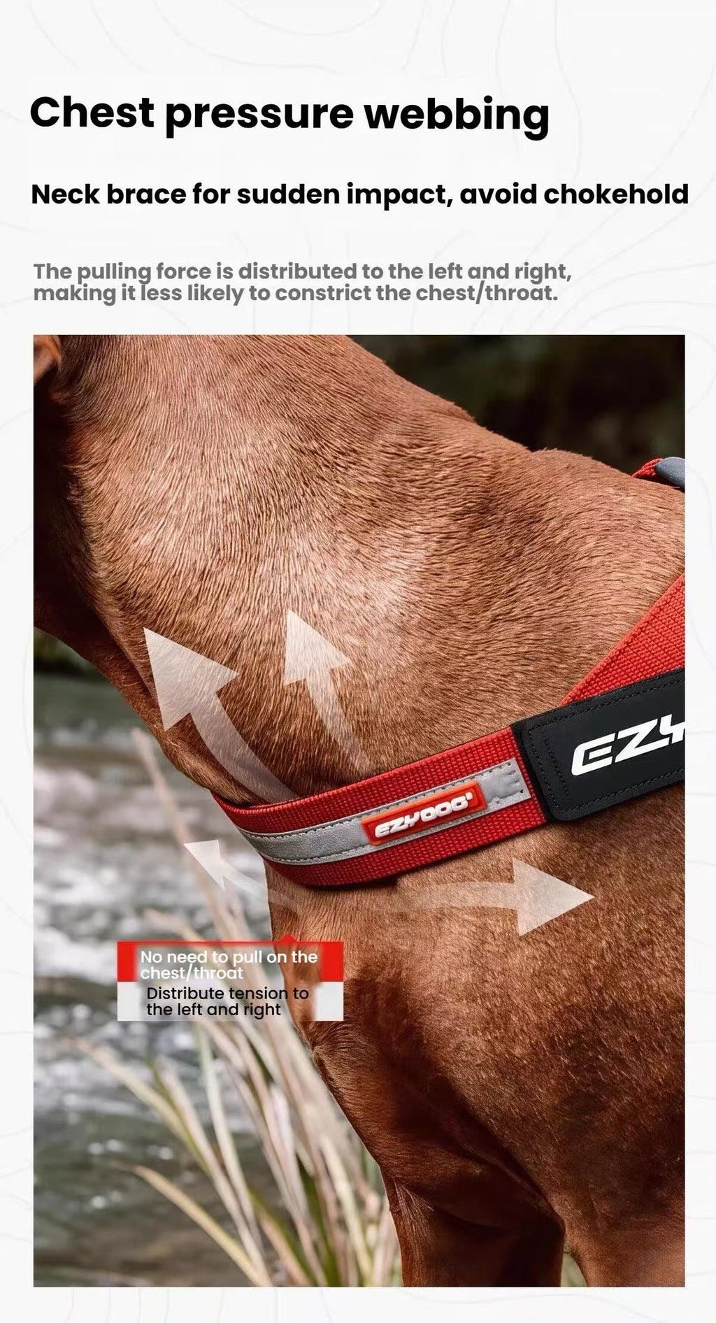 EzyDog Express Dog Harness.