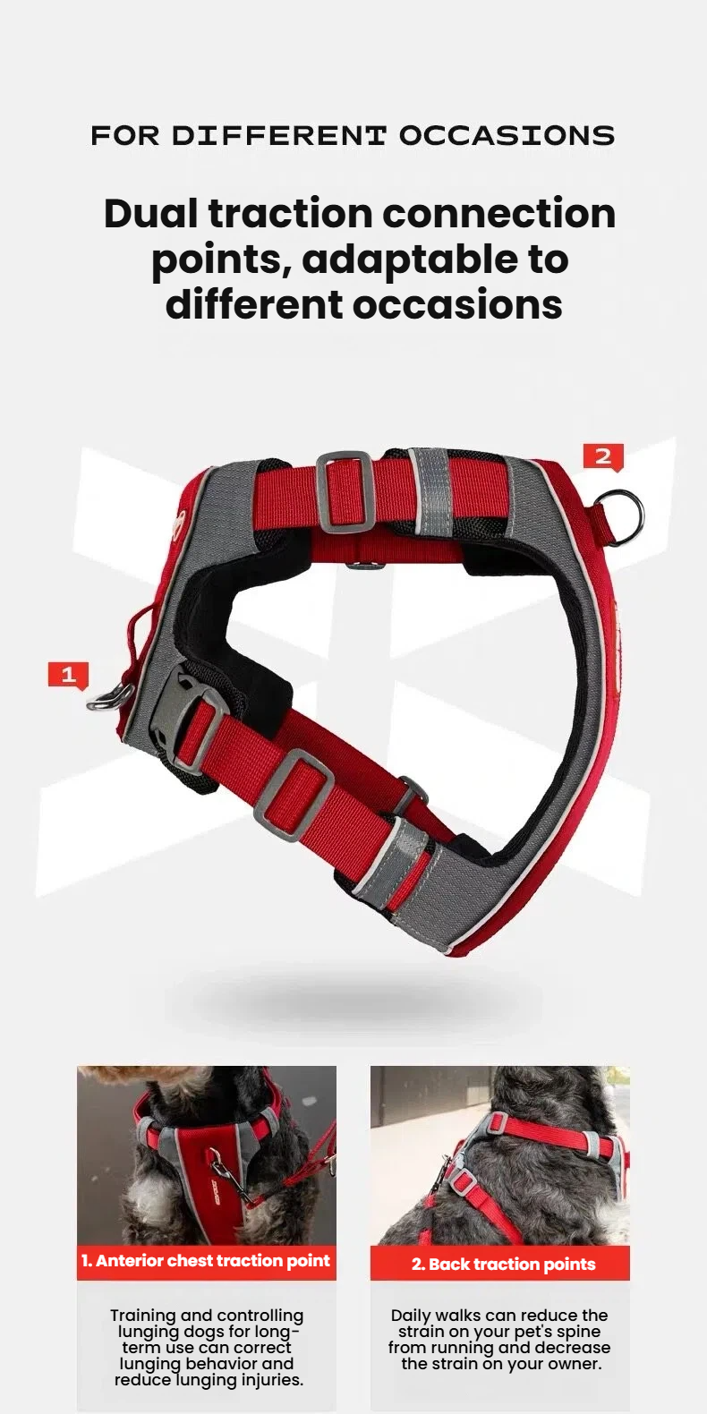 EzyDog X-Link Dog Harness