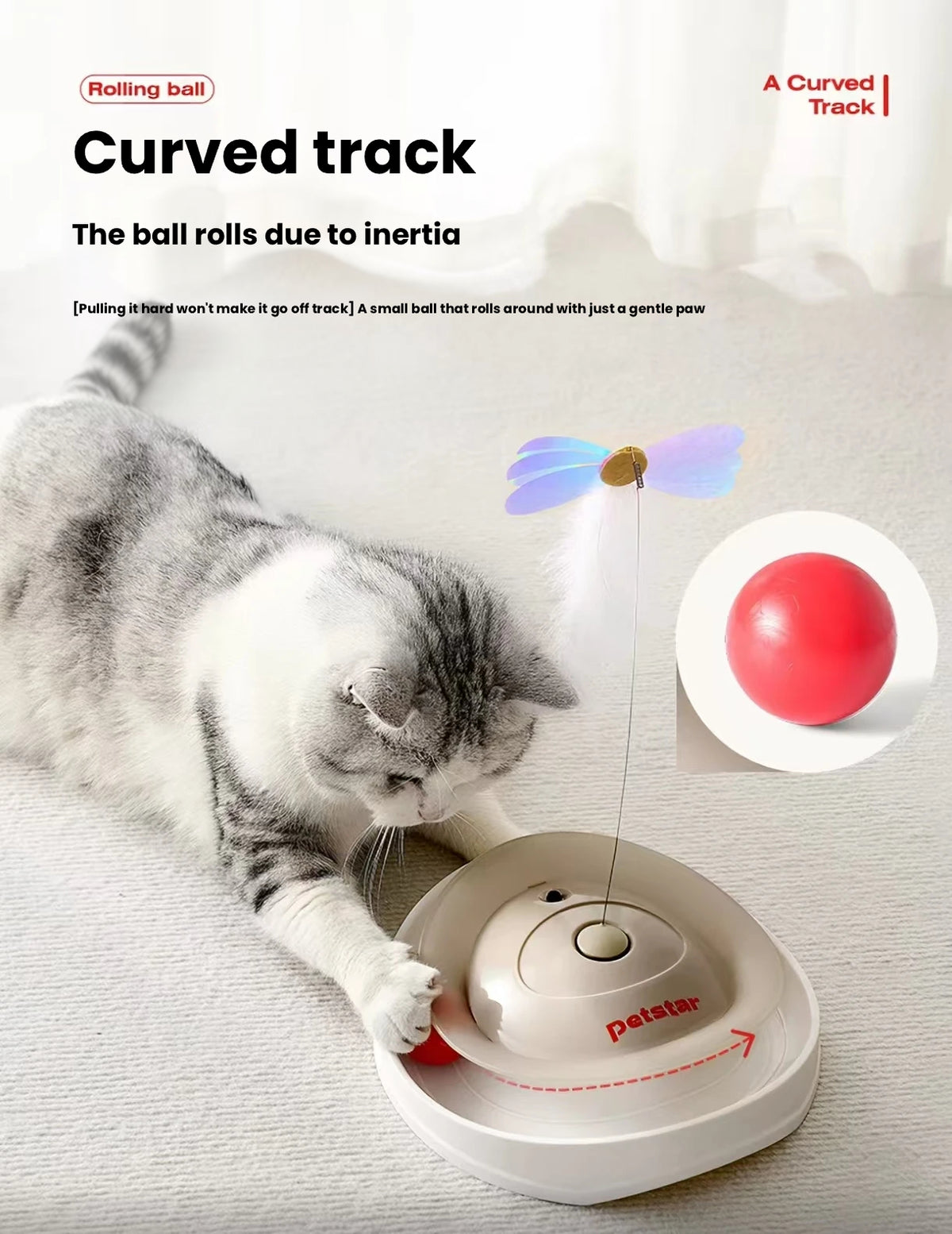 Cat playing with the curved-track Petstar spinner toy
