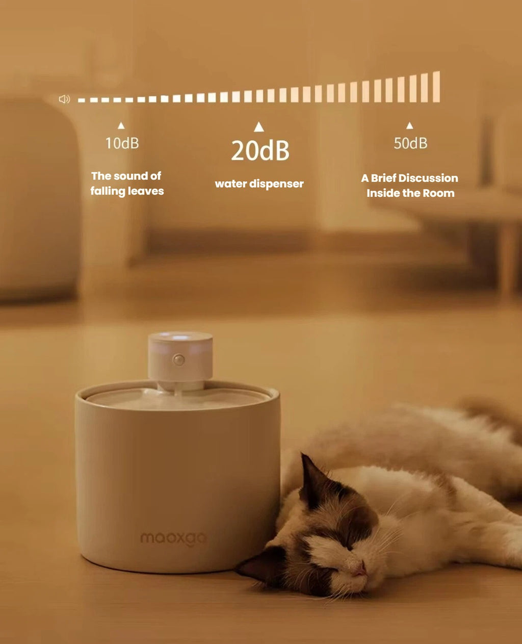 Quiet-flow graphic for the Miao Xiang Jia ceramic cat fountain