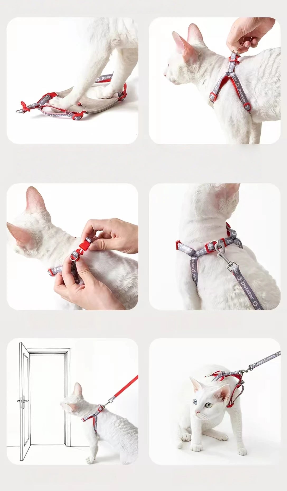 Petstar cat harness fitting and adjustment guide