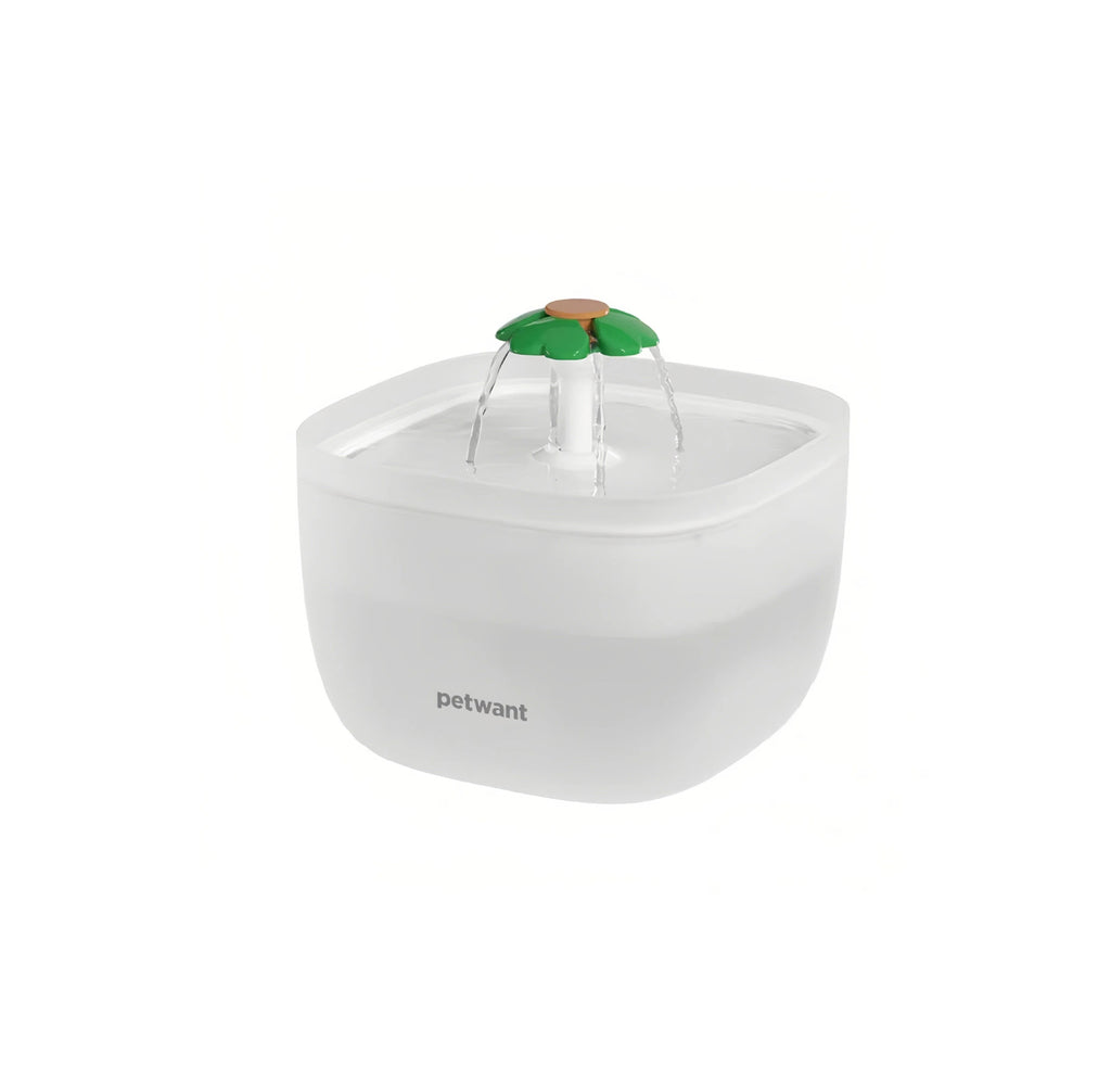 Petwant Automatic Cat Water Fountain, Quiet Filtered Flow
