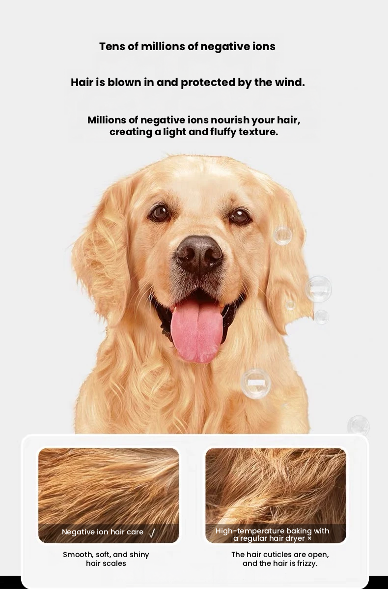 Redminut High-Power Pet Grooming Dryer for Dogs