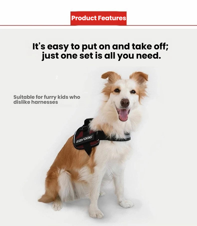 Front view of a dog wearing the EzyDog Convert harness