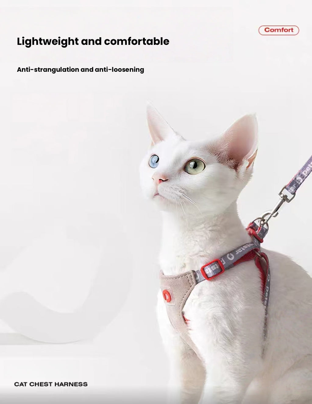 Cat wearing the lightweight Petstar vest harness
