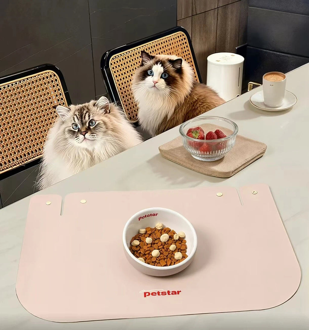 Petstar Elevated Ceramic Cat & Dog Bowl, Non-Spill Design