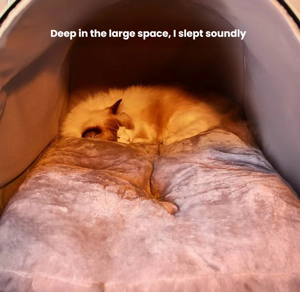 Heated Cat Bed: Warm, Enclosed & Washable Winter Cat House
