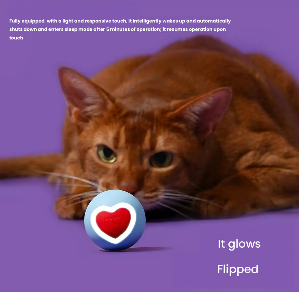Zeze Smart Rolling Ball Cat Toy - Interactive Self-Play Motion Ball for Cats & Kittens