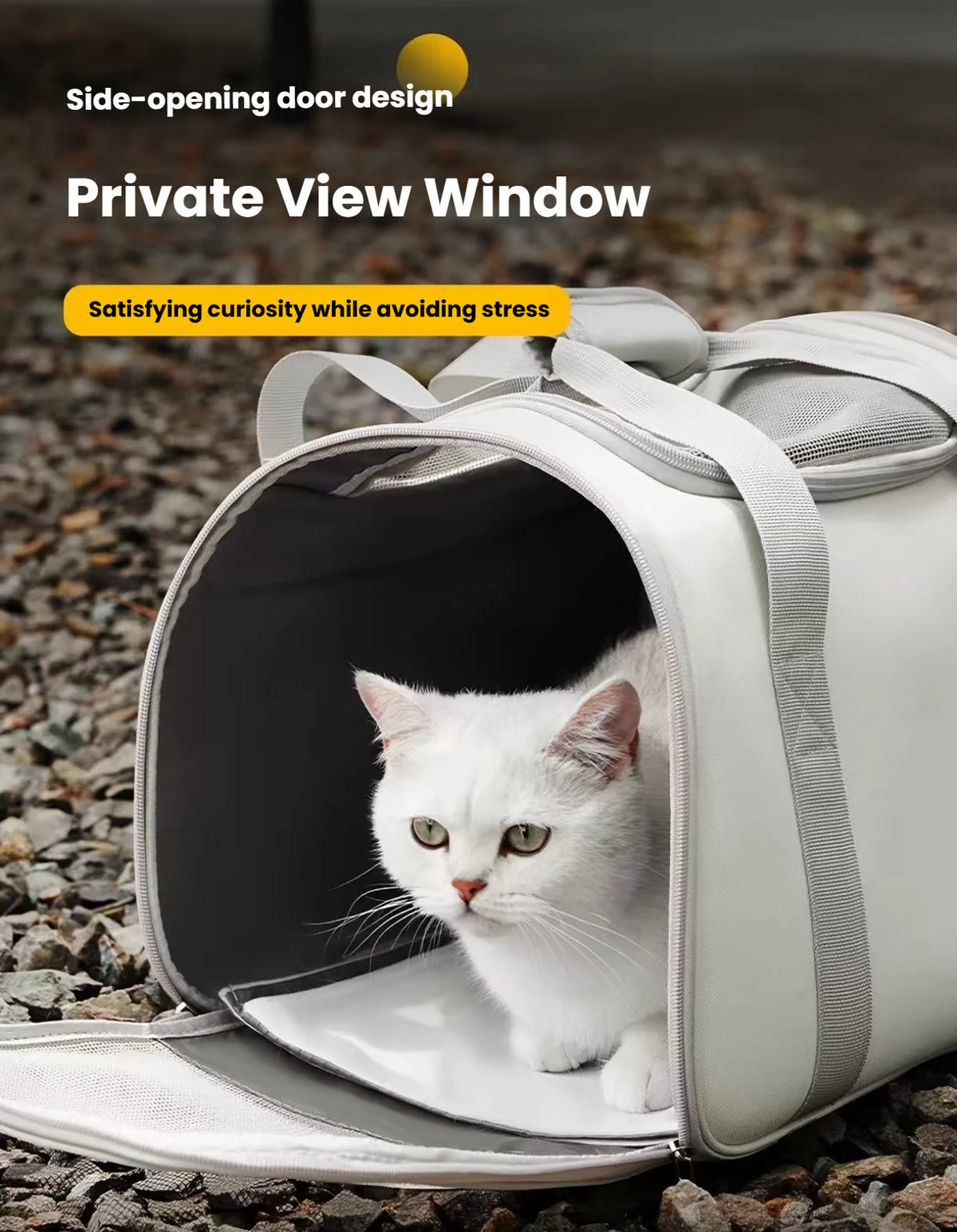 Cat Carrier Backpack: Large-Capacity Portable Pet Travel Bag