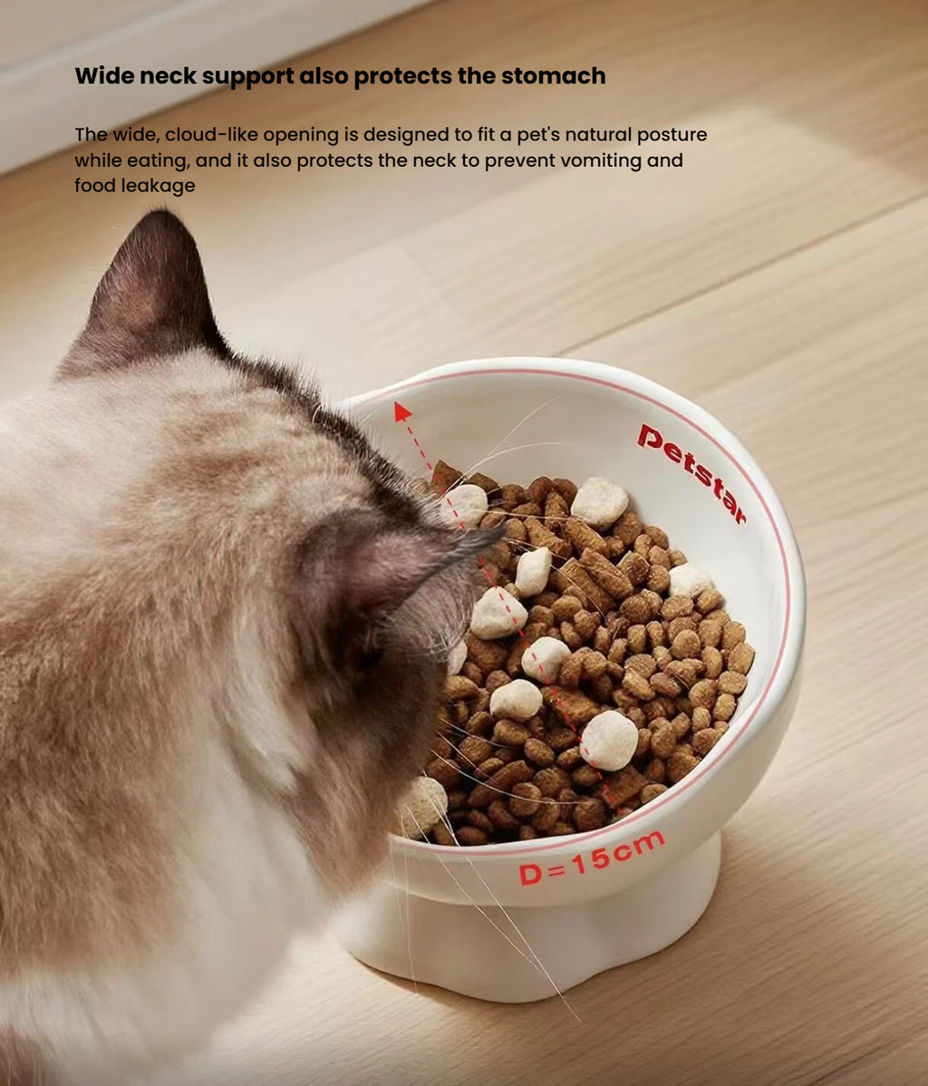 Petstar Elevated Ceramic Cat & Dog Bowl, Non-Slip Design
