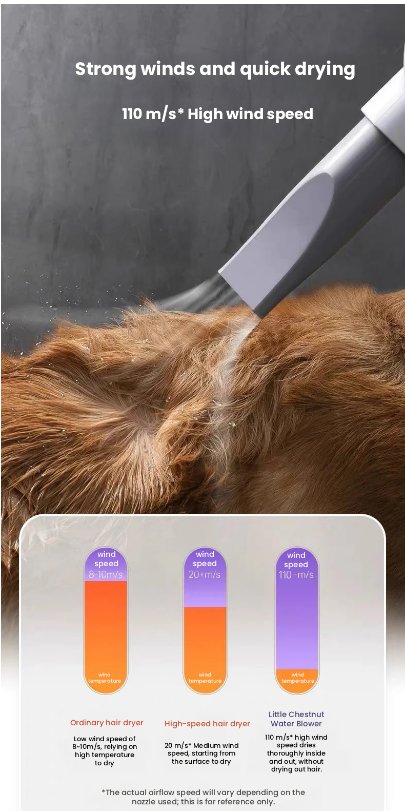 Redminut High-Power Pet Grooming Dryer for Dogs