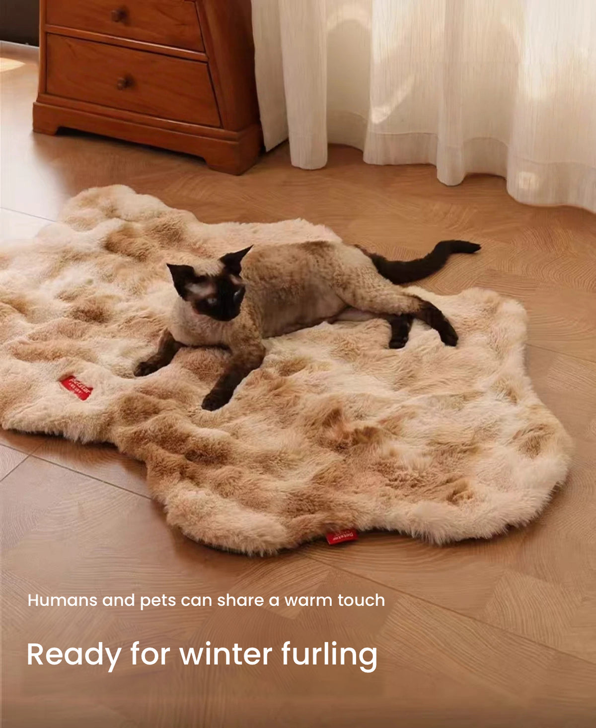 Cat resting on the brown Petstar plush pet mat