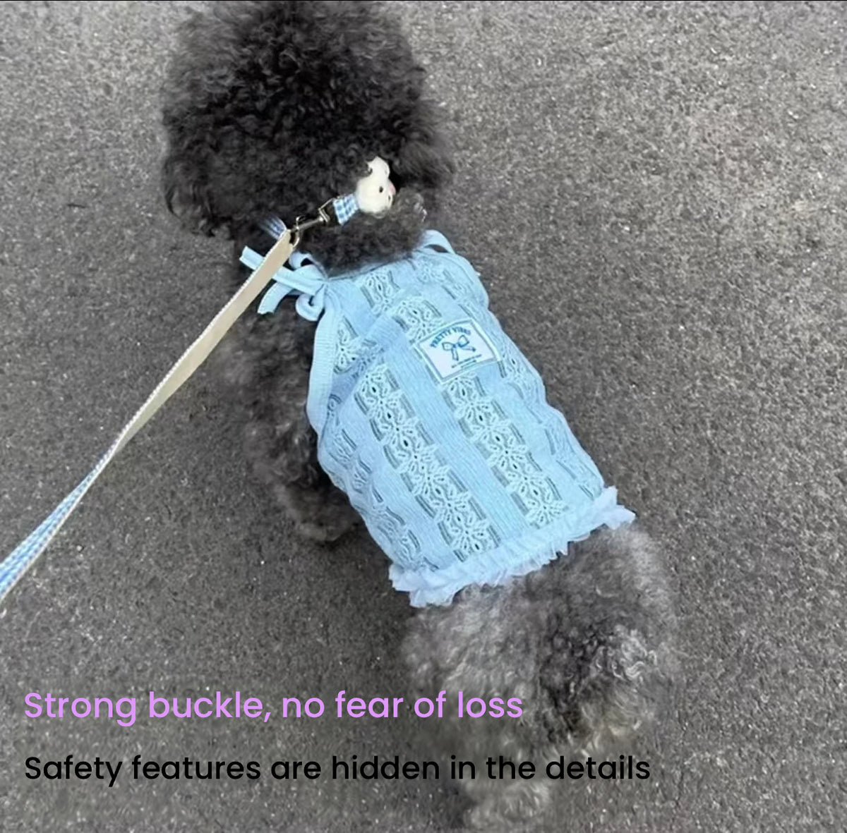 No-Pull Pet Harness with Leash, Escape-Proof Cat & Dog Walking Set