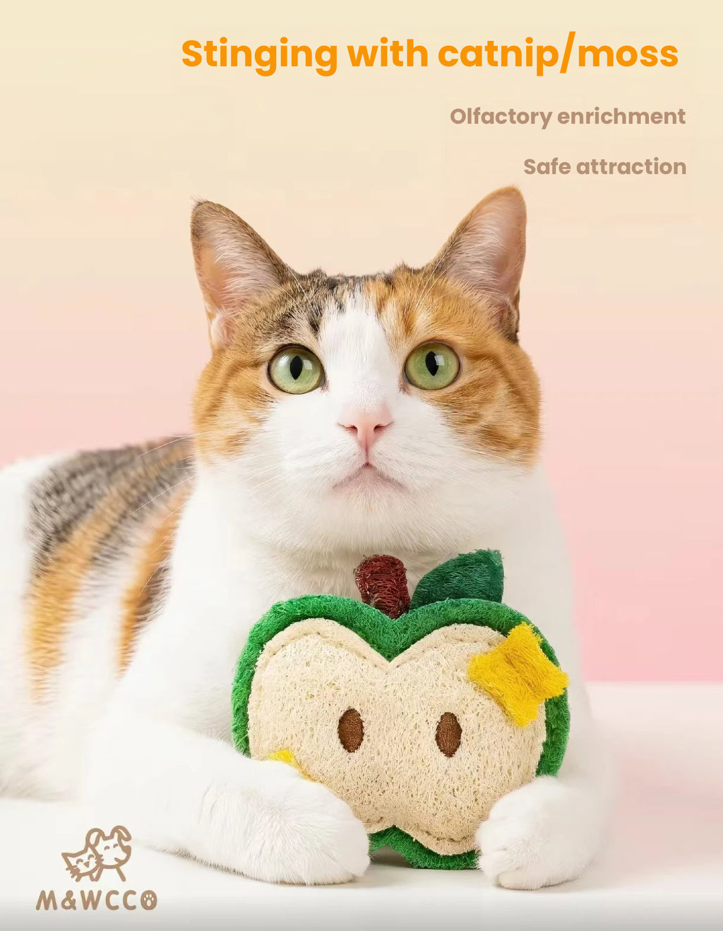 M&WCCO Natural Loofah & Silvervine Cat Toys - Catnip Teething Chew Toy for Cats & Kittens