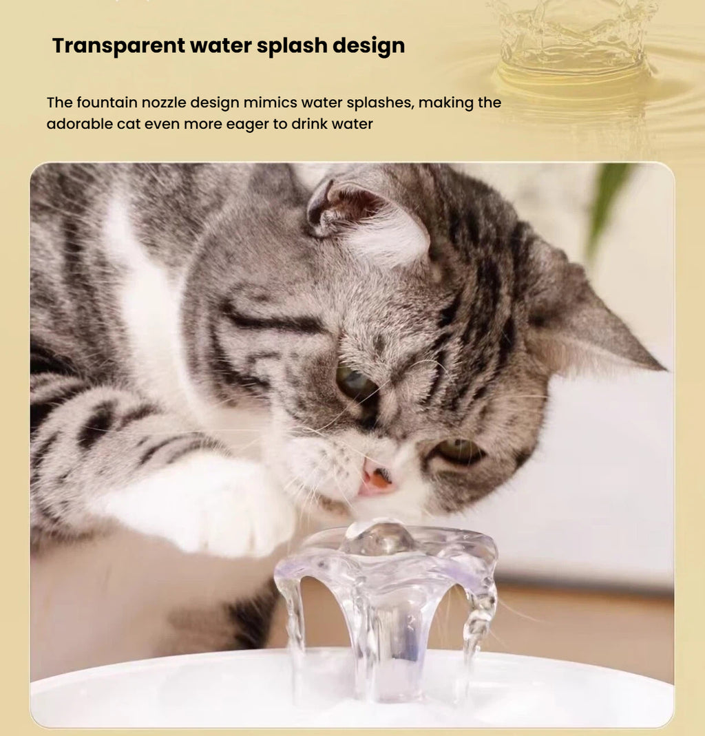 Petwant Automatic Cat Water Fountain, Flowing Water for Cats & Dogs