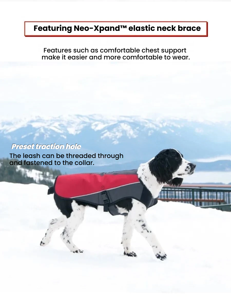 EzyDog Element Dog Jacket - Rain & Cold Weather Dog Coat