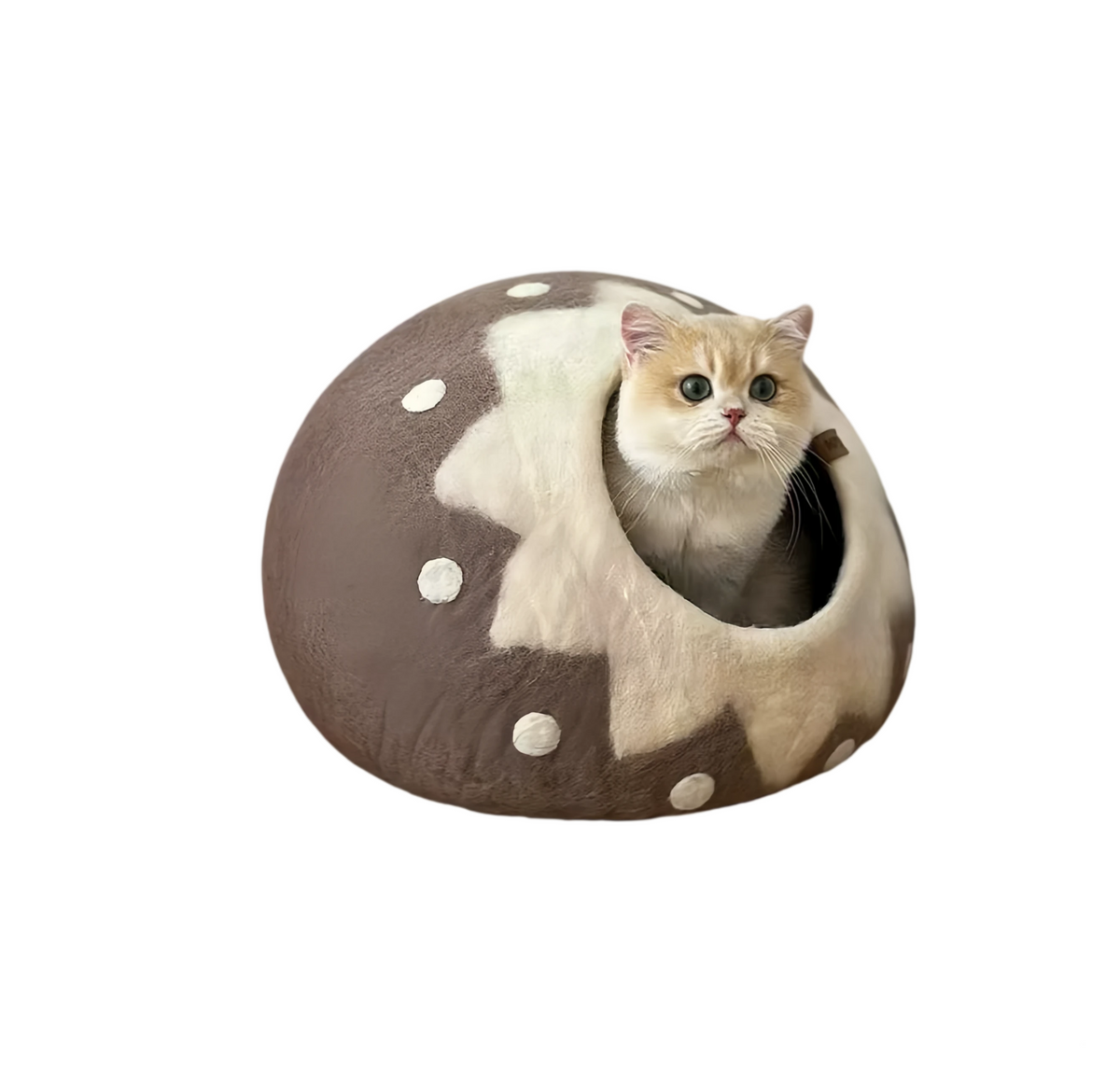 Coni Life Premium Wool Felt Cat Cave Bed - Large Enclosed Cozy Cat House Gift Set