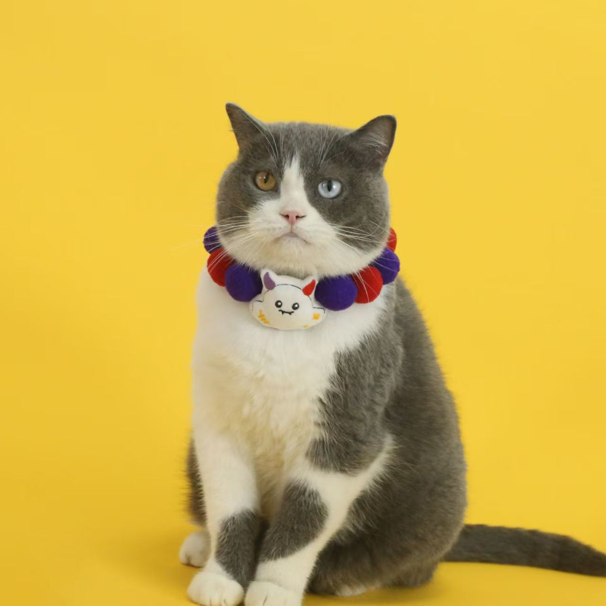 Halloween Pet Collar, Pumpkin Ghost Costume for Cats & Dogs