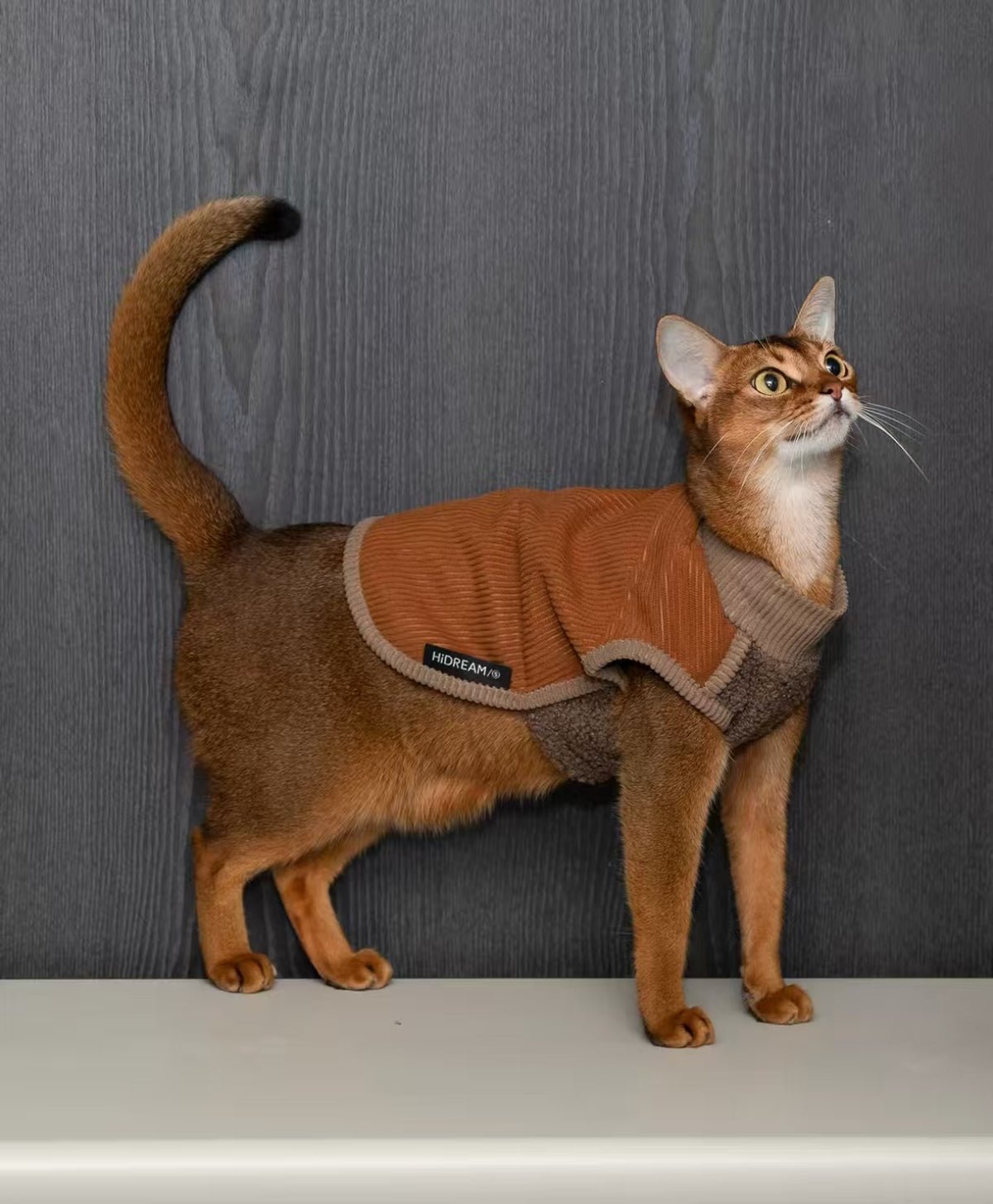 HiDREAM Thick Warm Fleece Cat Vest - Winter Soft Clothes for Devon Rex, Cats & Dogs