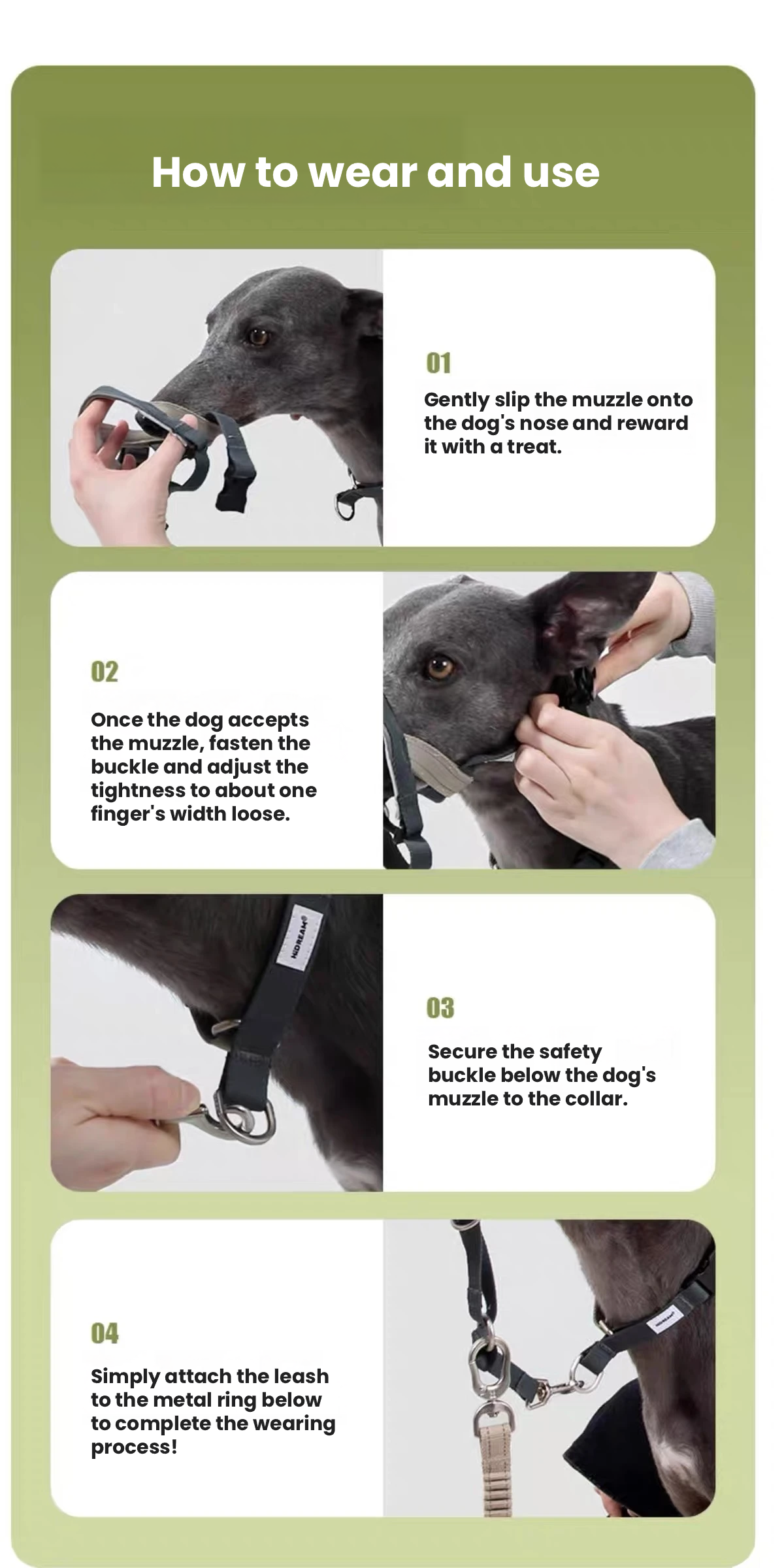 HiDREAM Head Halter – Anti-Pull Training Aid