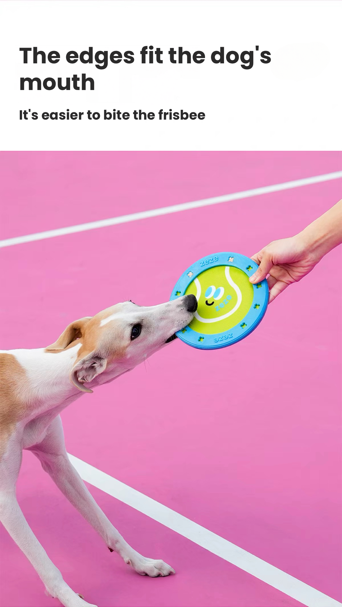 Zeze Durable Dog Flying Disc – Outdoor Training & Fetch Toy